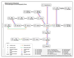 screen capture of TEE standard view web page